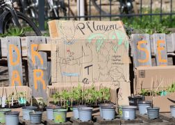 Damenviertel In Jena Tausende Besucher Beim Bunten Strassenfest 12